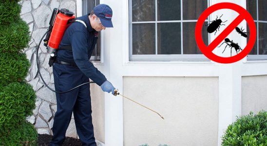 Hopa Akrep İlaçlama böcek ilaçlama ve haşere kontrolü — ilaclama-tr.com